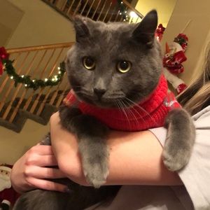 Meet your Posher, Anthony